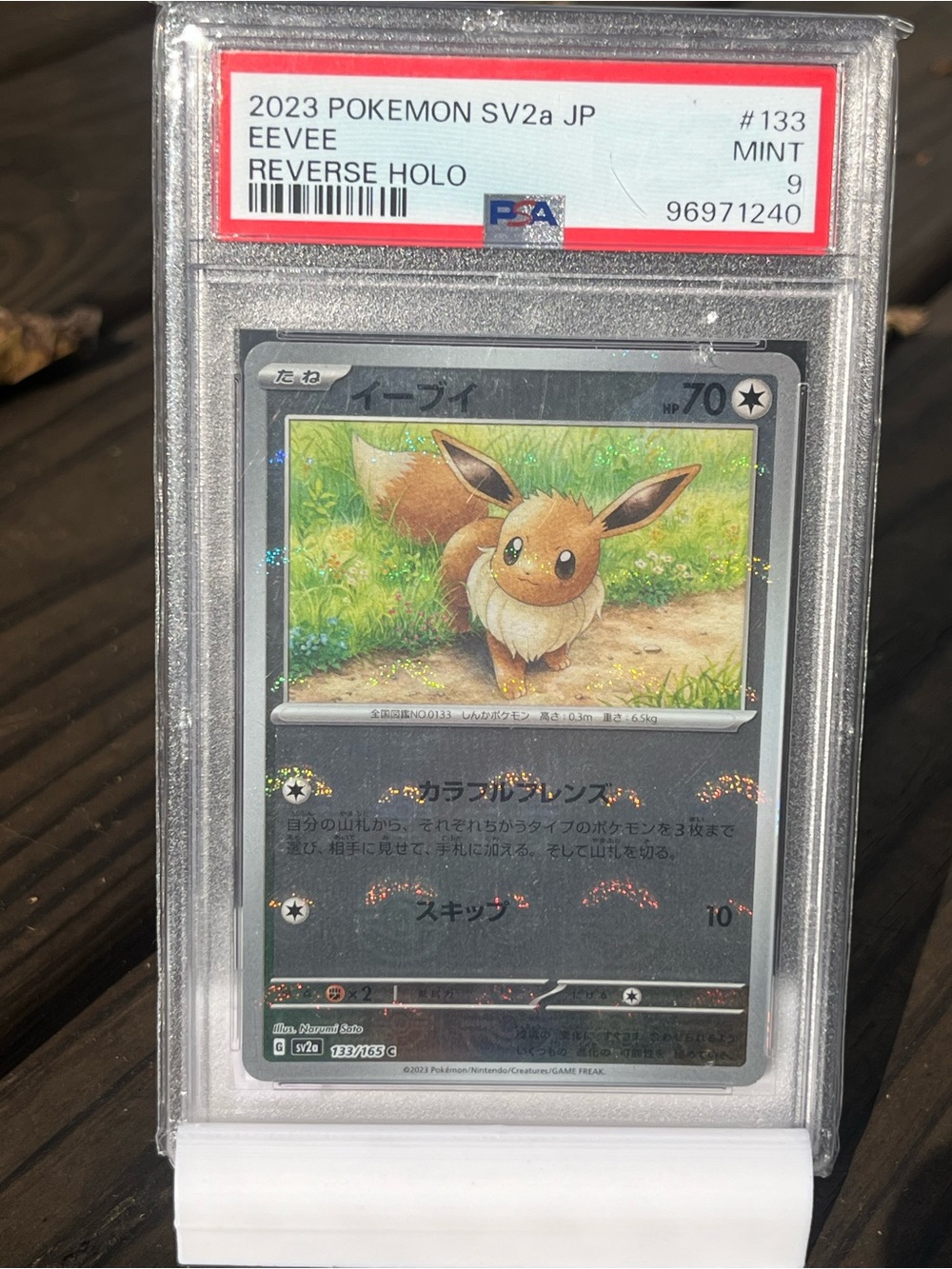 Pokemon Eevee Art Print — Brown, Green, Cream
